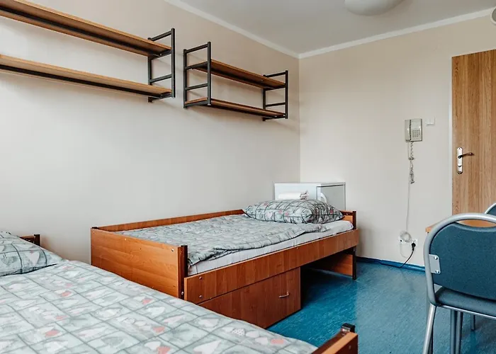 Akropol بيت شباب *